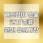 겨드랑이 멍울