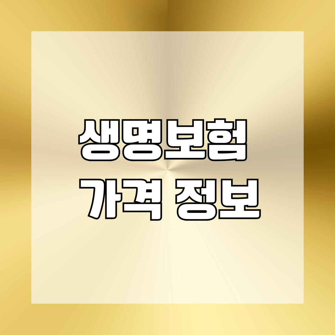 생명보험 가격 정보